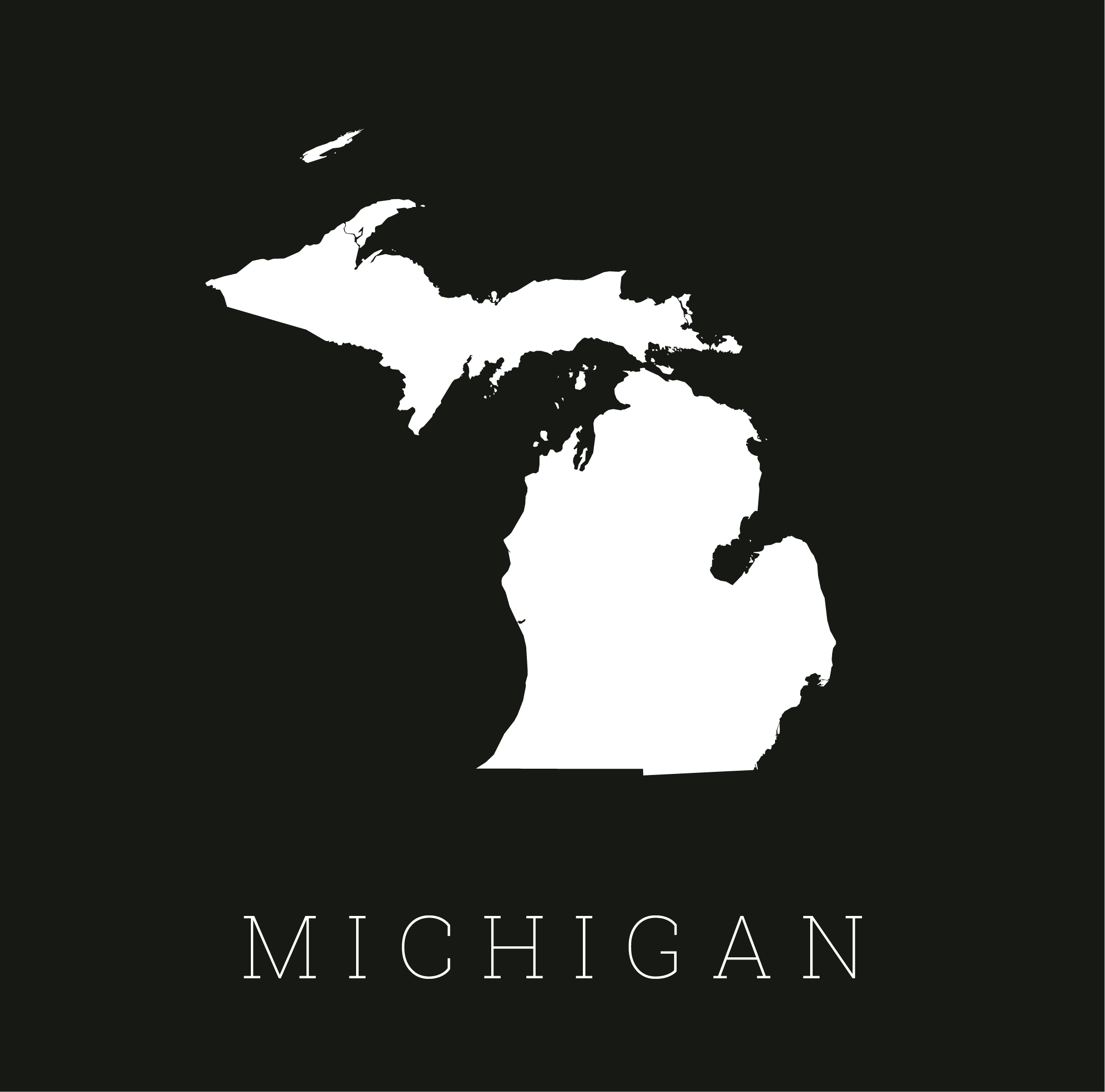 SAGINAW MI PRACTICE FOR SALE Planet Chiropractic Saginaw mi practice for sale planet chiropractic