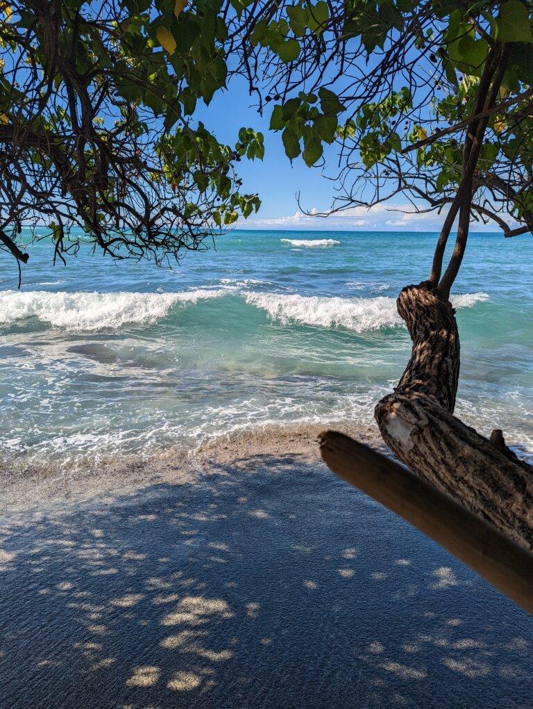 Work in Hawai’i and get your student loans forgiven!