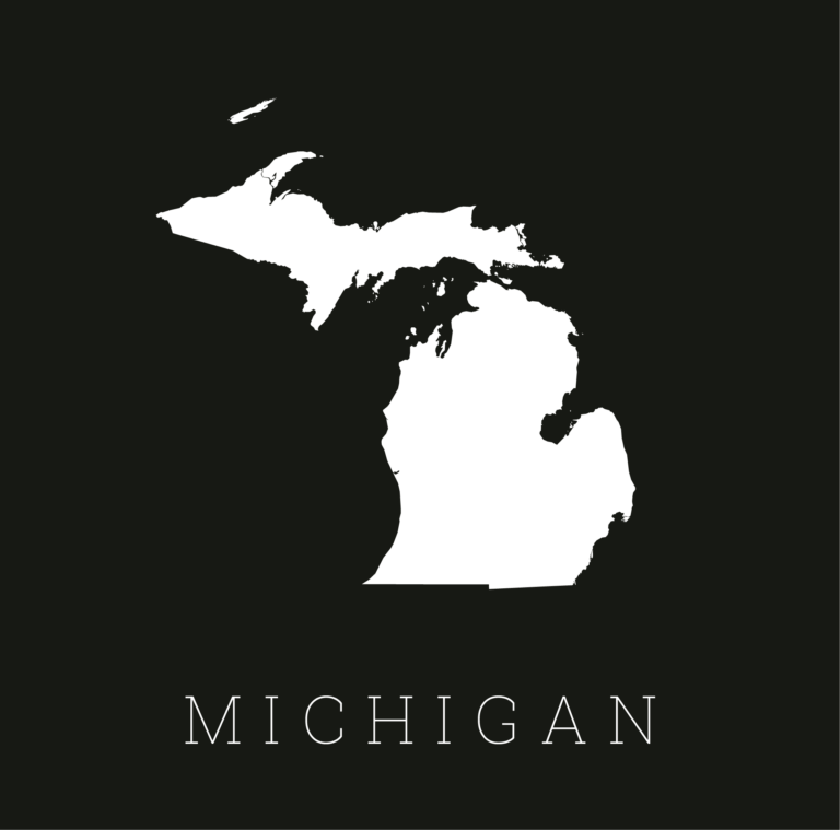 LENAWEE COUNTY, MI PRACTICE FOR SALE