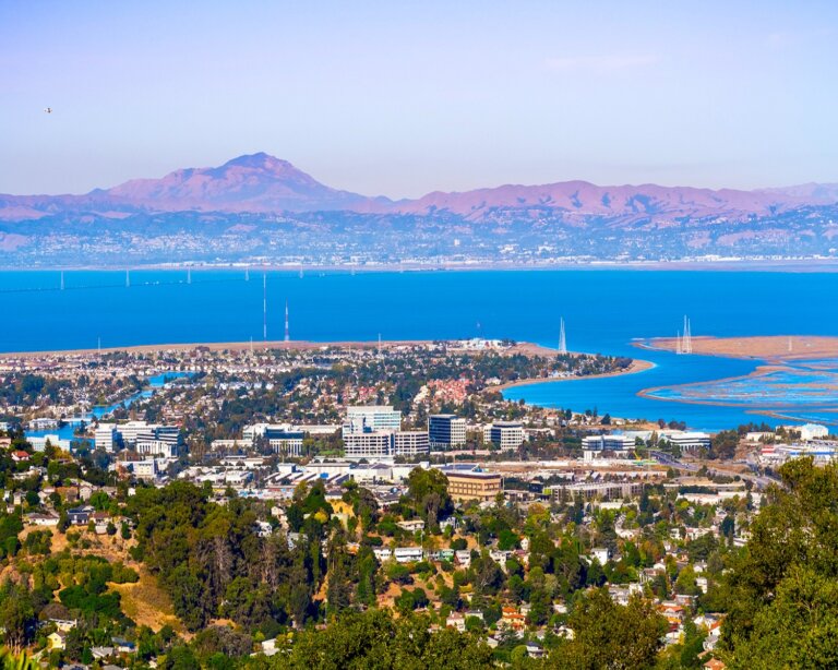 Thriving SF Bay Area Chiropractic Practice for Sale