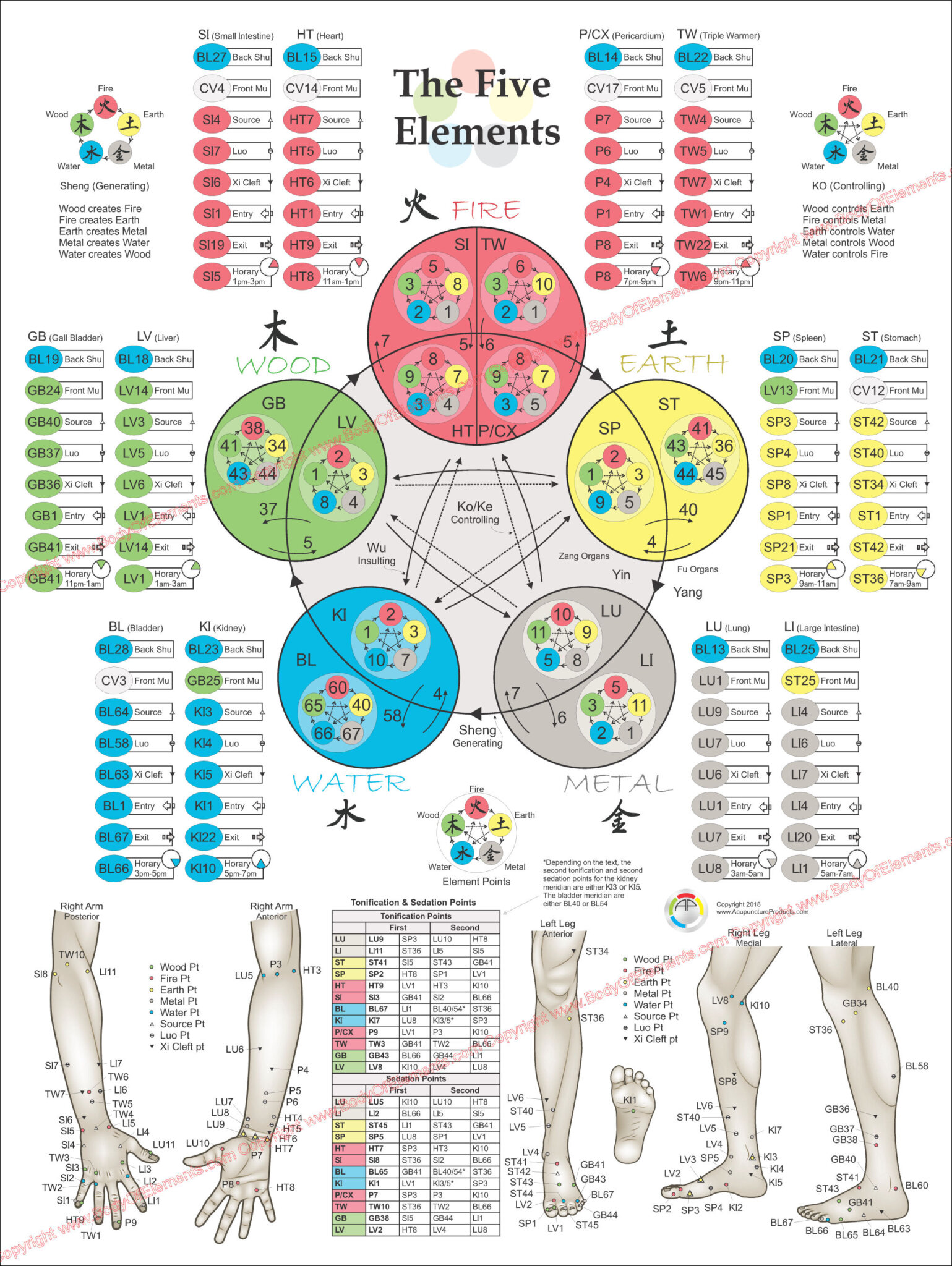 Five Elements of Acupuncture Points Poster 18 X 24 - Planet Chiropractic
