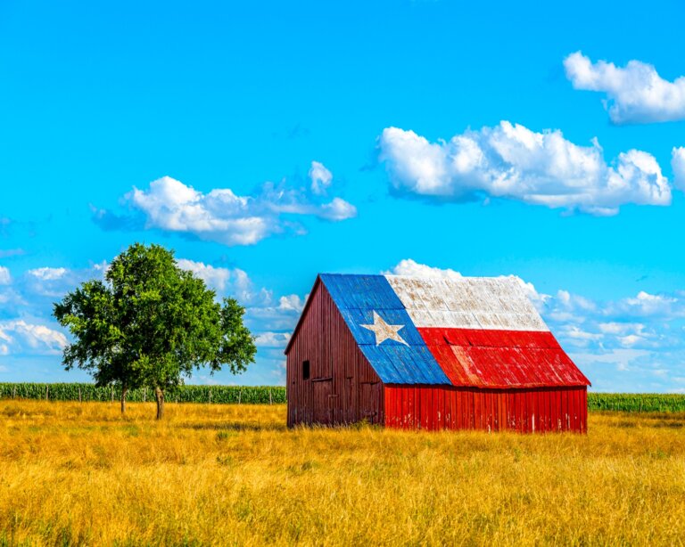 Chiropractic Practice for Sale in Lubbock TX Area