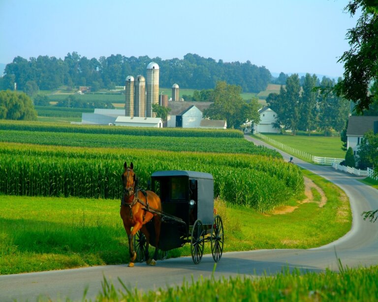 Chiropractic Practice for Sale in Lancaster, PA