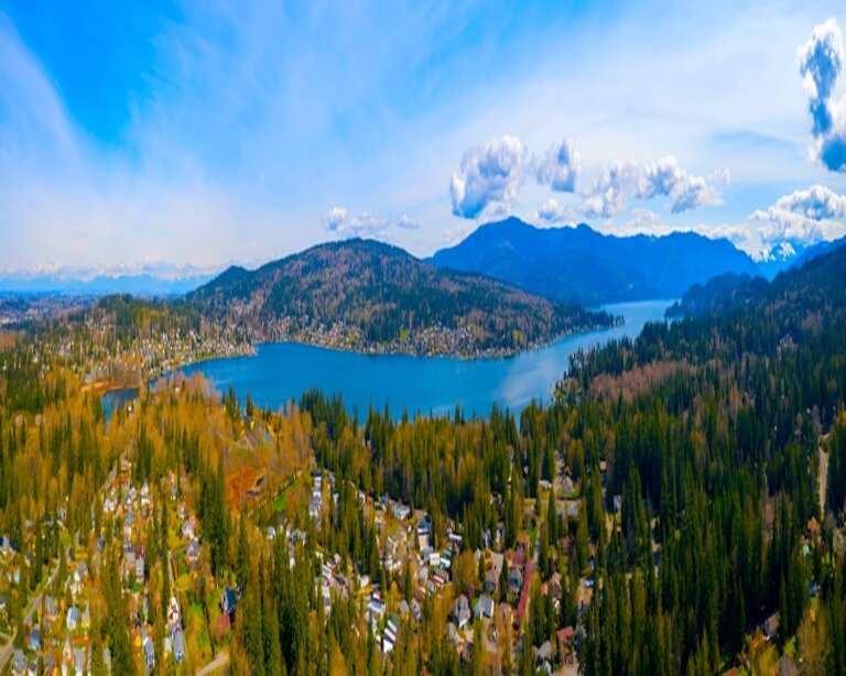 Chiropractic Practice for Sale in Bellingham, WA