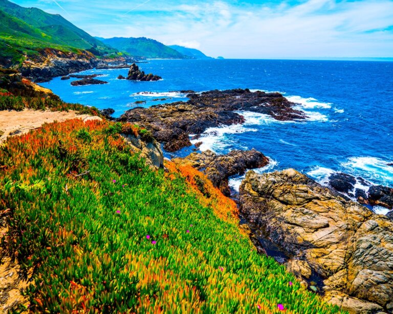 Chiropractic Practice for Sale in Monterey CA Area