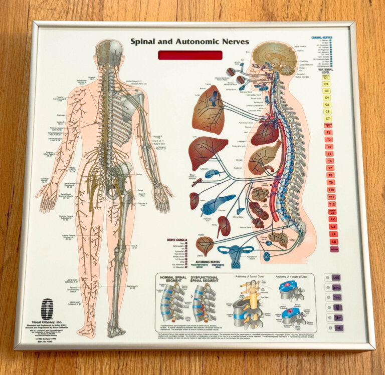 Neuropatholator by Visual Odyssey