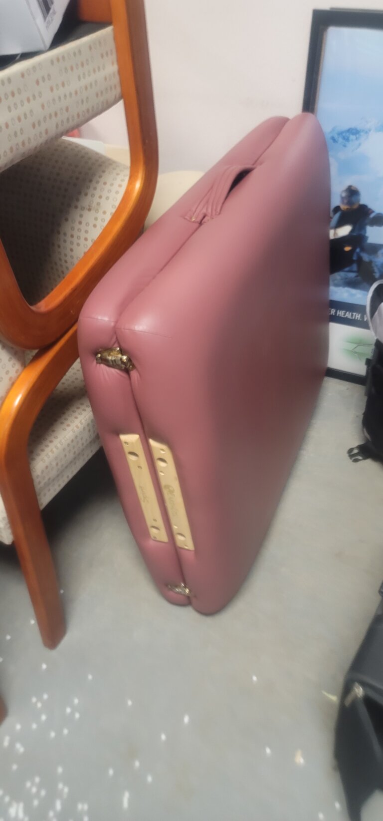 Earthlight Massage Table (Mauve)