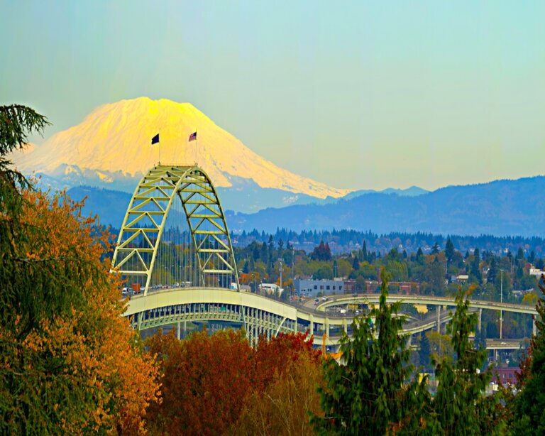 Chiropractic Practice for Sale in Portland, OR