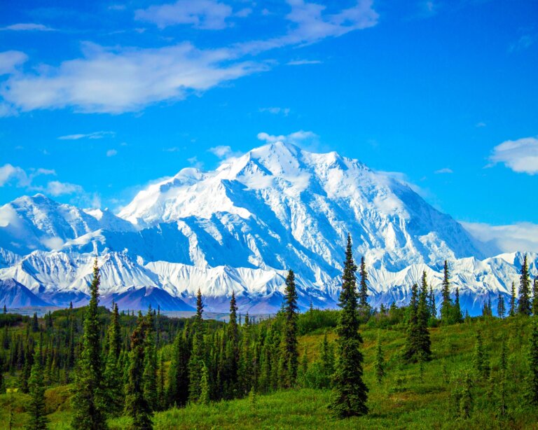 Chiropractic Practice for Sale in Fairbanks, AK