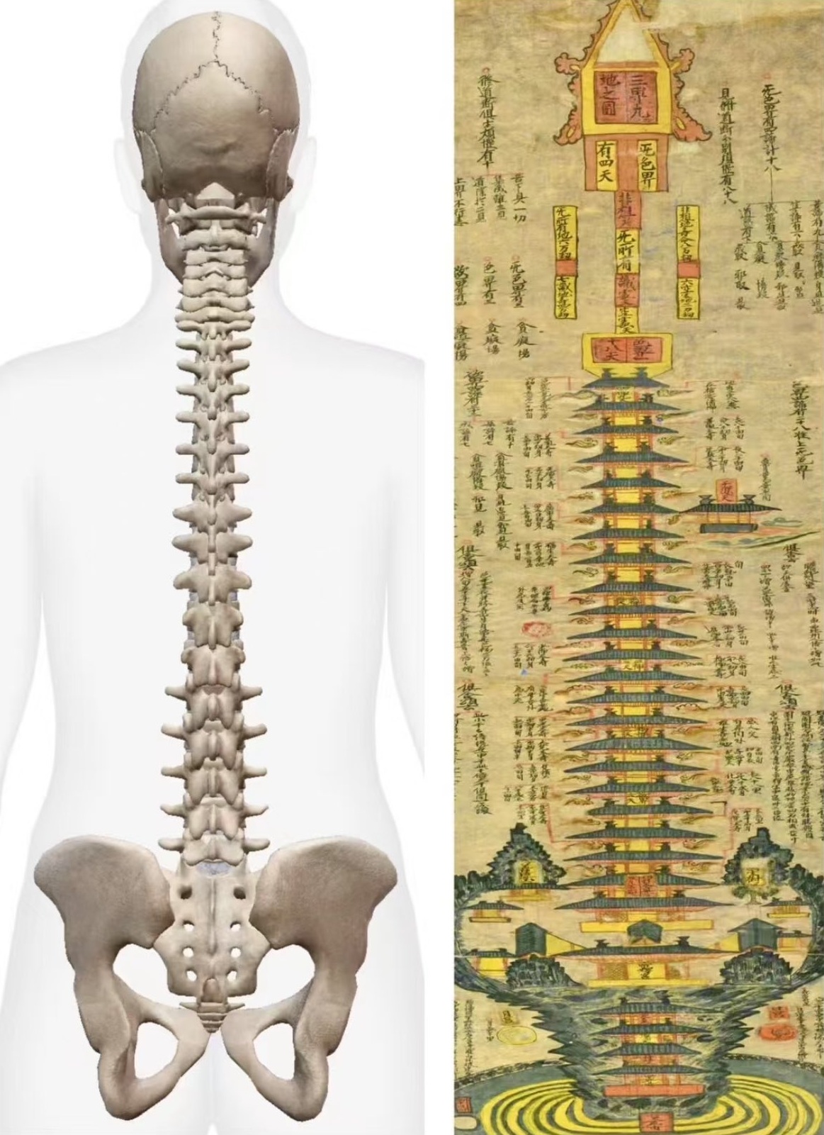 How Chiropractic Echoes Inner Alchemy