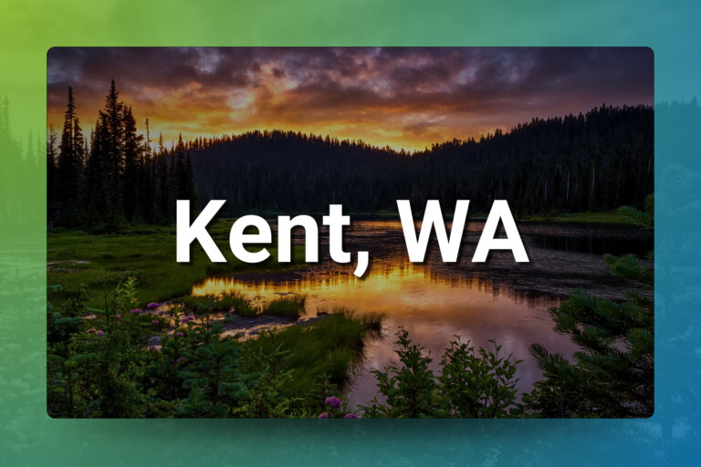 High-Income Kent, WA Chiropractic Clinic for Sale