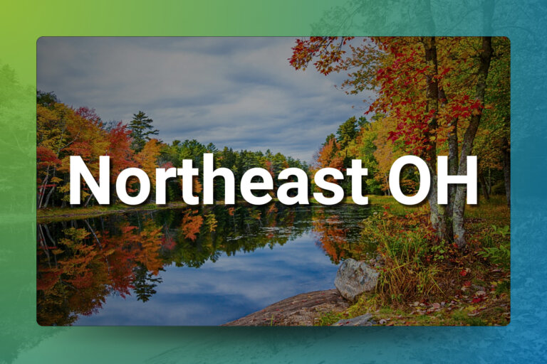 Chiropractic Practice for Sale in Northeast Ohio
