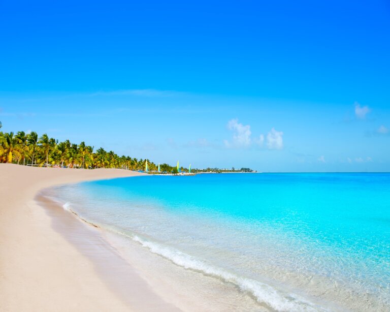 Low Stress Chiropractic Practice for Sale in Key West FL