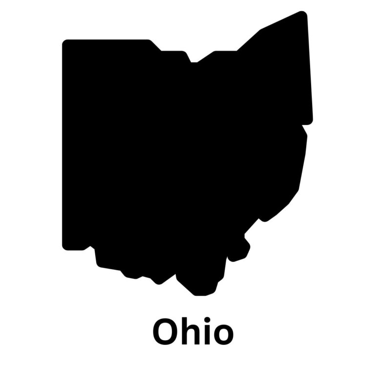 Whitehouse Ohio Chiropractic Practice for Sale