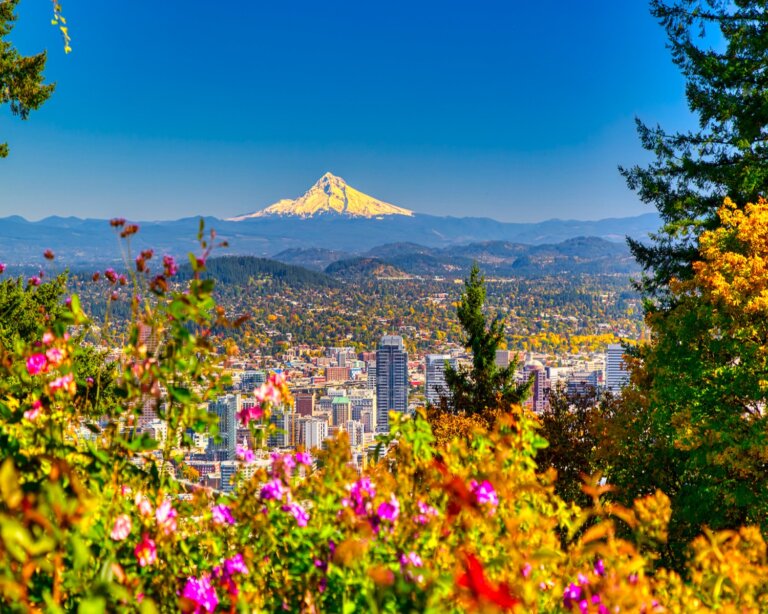 SE Portland OR Suburbs Chiropractic Practice for Sale