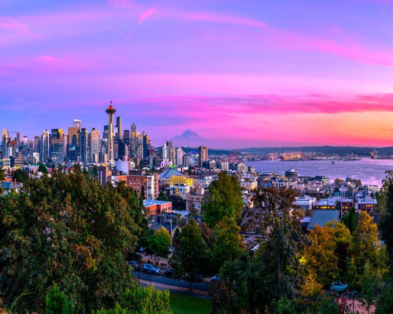 Seattle, WA Suburbs Chiropractic Practice for Sale