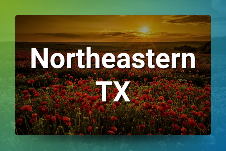 Thriving Northeast TX Clinic with Real Estate + Low Overhead