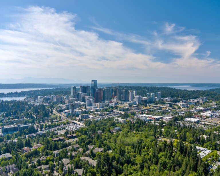 Chiropractic Practice for Sale in Bellevue WA Area