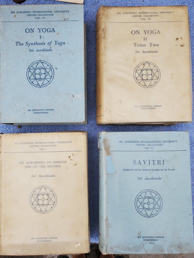 Sri Aurobindo discusses the theme of connectedness