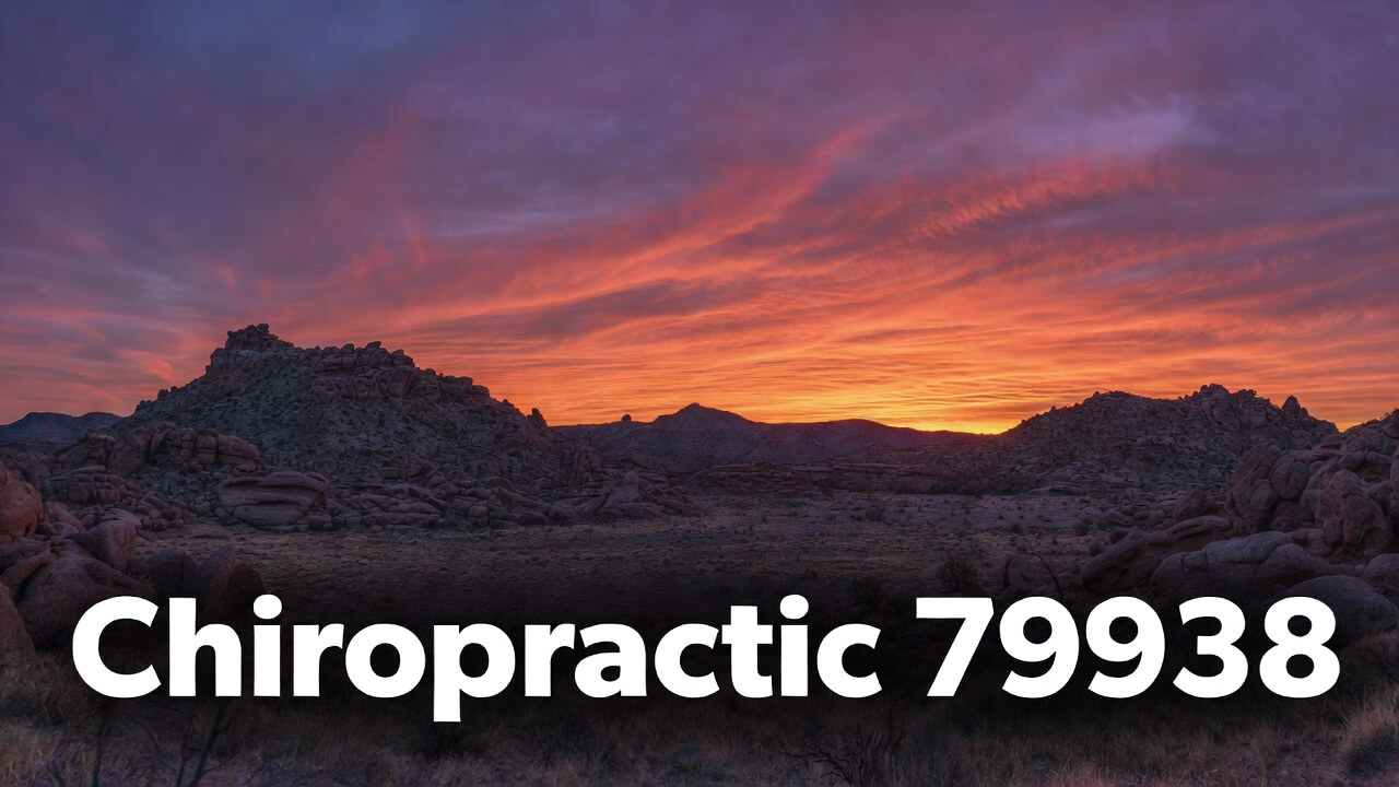 Chiropractic 79938