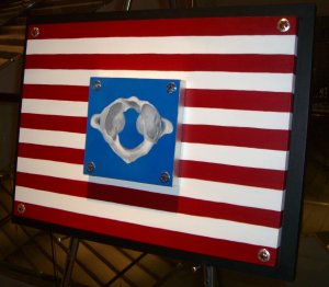 chiropractic art - American flag Atlas vertebrae