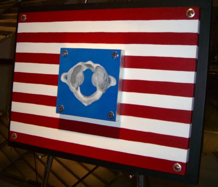 Atlas vertebrae American flag chiropractic artwork