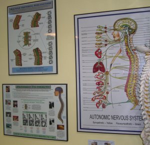 chiropractic posters - autonomic nervous system - vertebral subluxation