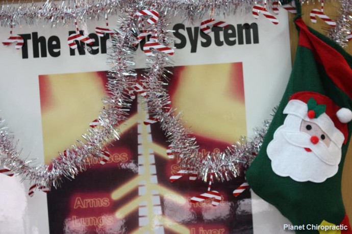 Santa Claus Nervous System