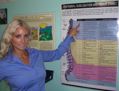 vertebral subluxation nerve chart